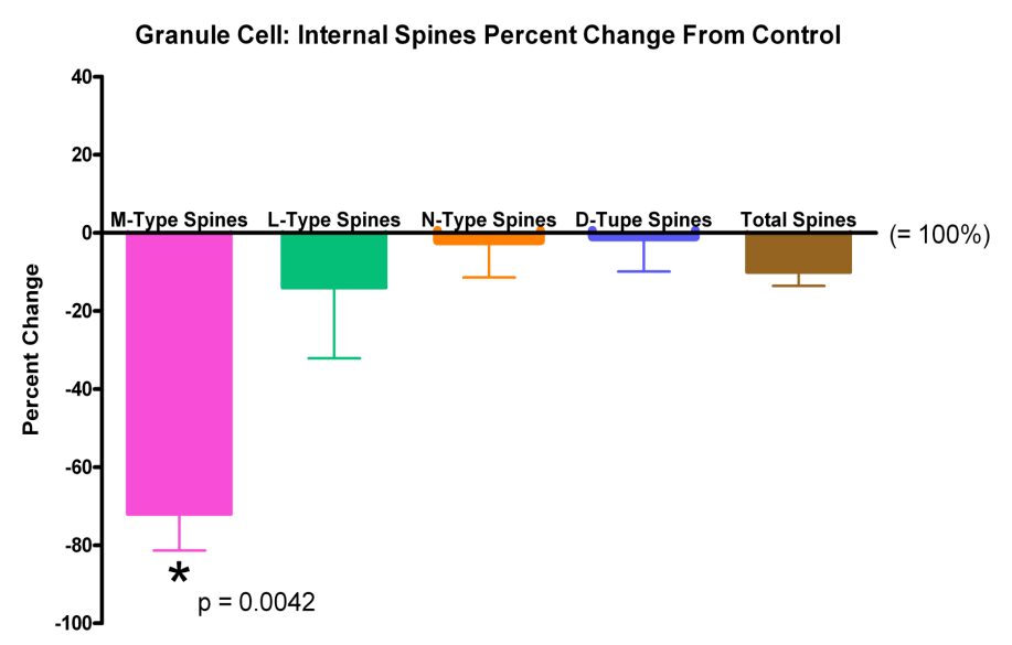 Granule Cells of the Dentate Gyrus