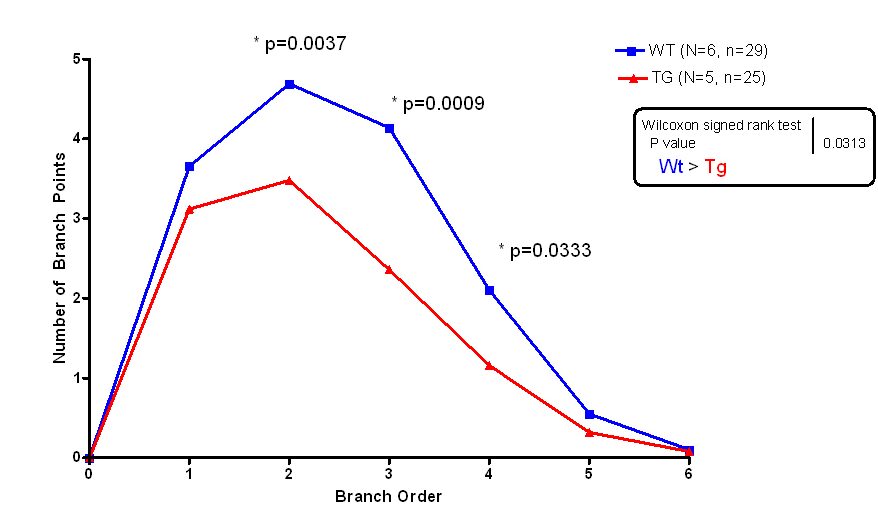 branch order